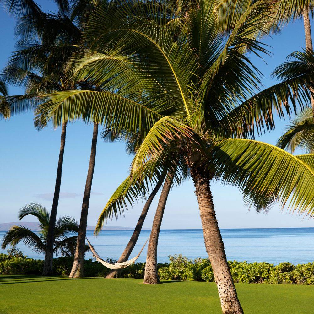 Tropical