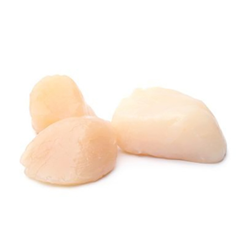 Scallops